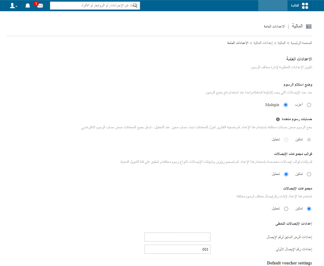 الإعدادات العامة للمالية (3)